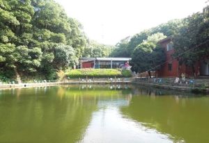 金鶚公園水上樂園