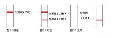 圖2 妊娠試紙結果圖