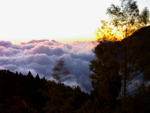 阿里山雲海