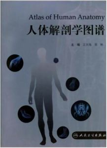 《人體解剖學圖譜》