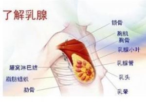 乳腺良性腫瘤