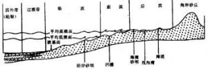 潮上帶