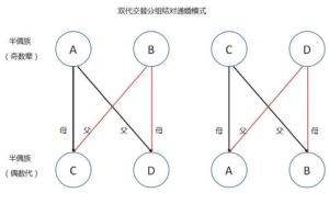 親緣係數