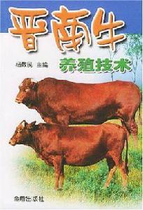 晉南牛養殖技術