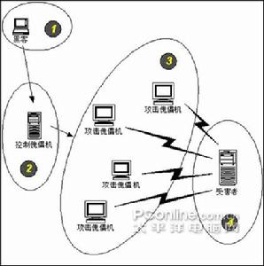 數據包淹沒搗蛋者