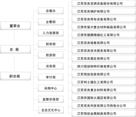 江蘇雙良集團公司