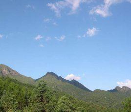 梅花山[福建省龍巖市梅花山]