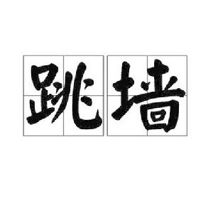 跳牆[名詞：跳牆]