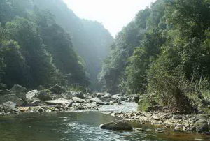 馬龍縣野花溝