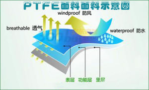 PTFE面料面料示意圖
