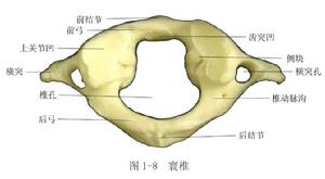 寰椎骨折脫位