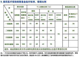 醫保報銷比例