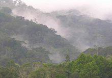 鶴伴山景區遠景