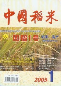 《中國稻米》