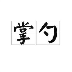 掌勺[詞語]