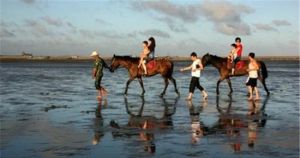 海灣旅遊區漁人碼頭