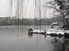 花池雪景