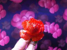 草莓花朵