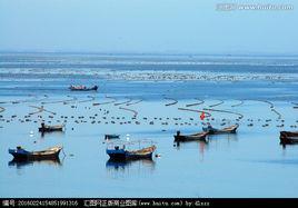 海水養殖