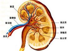 老年人急性腎功能衰竭