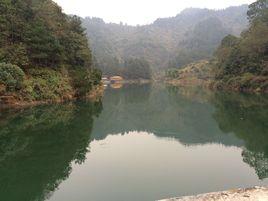 青雲湖森林公園