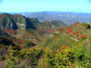 仙台山[河南]