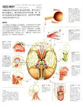 套管針灸刀療法