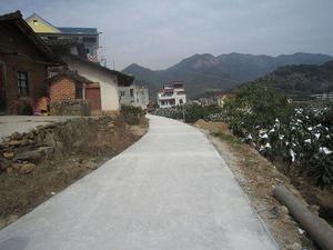 東青村[福建省莆田市城廂區常太鎮下轄村]