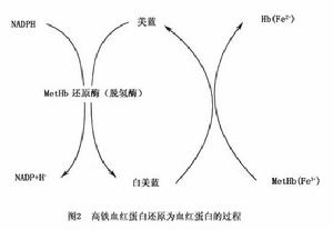 中毒性高鐵血紅蛋白血症