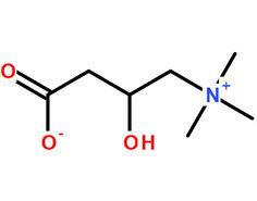 左旋肉鹼內鹽
