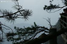 雲居山風