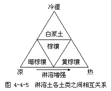 淋溶土