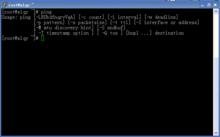 linux的ping指令