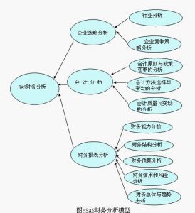 SAS財務分析模型