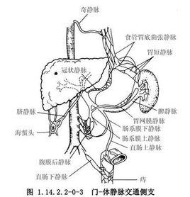 腸系膜上靜脈外科乾