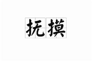 撫摸[漢語釋義]