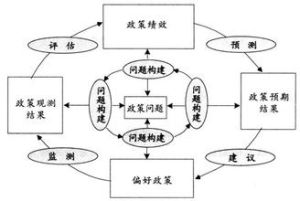 政策分析