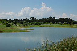 （圖）香港濕地公園