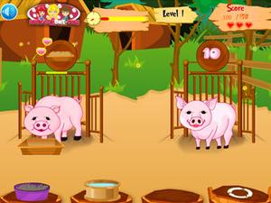 線上玩照顧可愛的小豬小遊戲