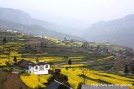 龍洞村[雲南省昭通鎮雄縣坡頭鄉龍洞行政村]