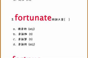 FORTUNATE[英語單詞]