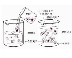 電離平衡