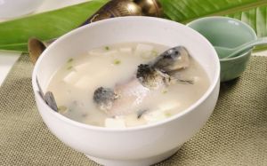 鯽魚豆腐菌湯