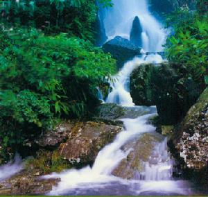 （圖）永嘉縣嶺底鄉