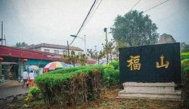 福山村[山東省淄博市博山區八陡鎮福山村]