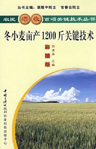 冬小麥畝產1200斤關鍵技術