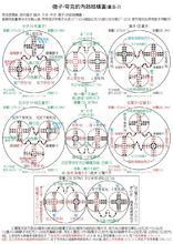 γ粒子、中子及多種介子、超子、反粒子