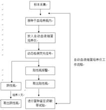 全自動血液細菌培養儀