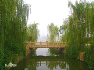 休閒公園 - 東湖公園