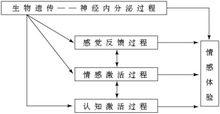 情緒激活和調節的多系統模型